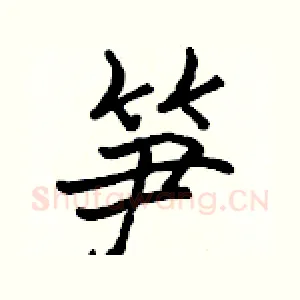 笋
