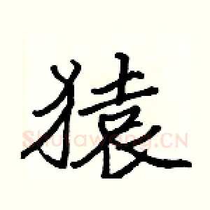 猿