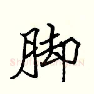 脚