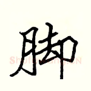 脚