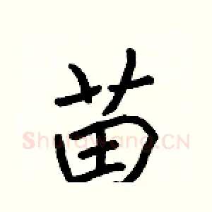 苗