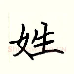 姓