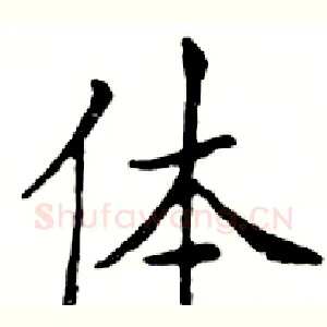 体