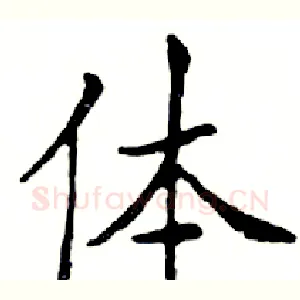 体