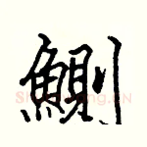 鰂