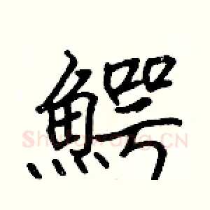 鰐
