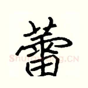 蕾