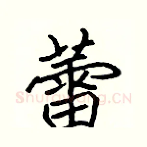 蕾