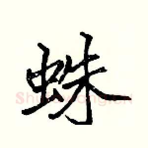 蛛