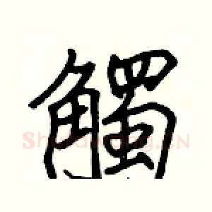 觸