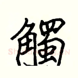 觸