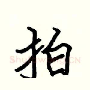 拍