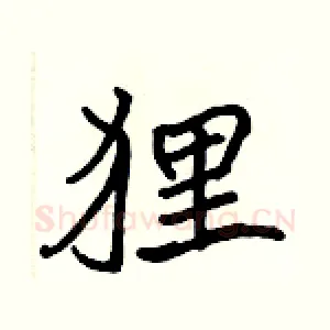 狸