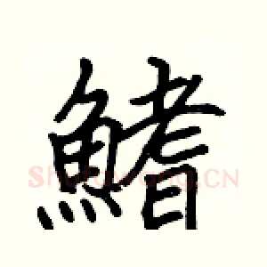 鰭