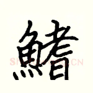 鰭