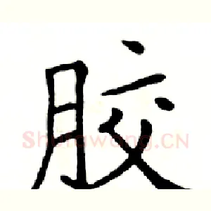 胶