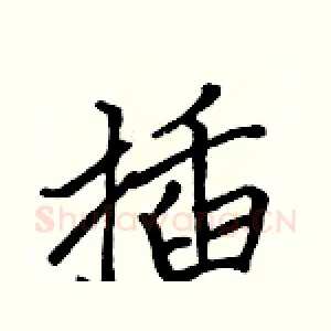 插