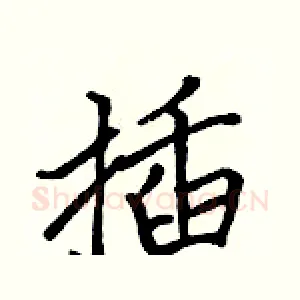 插