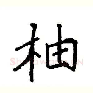 柚