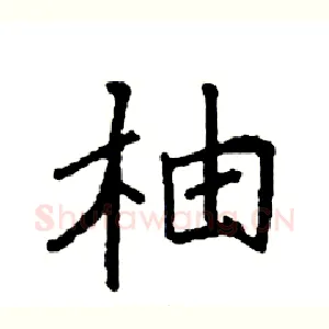 柚