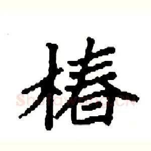 椿