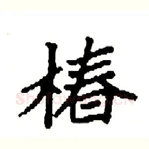 椿