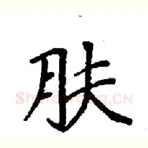 肤