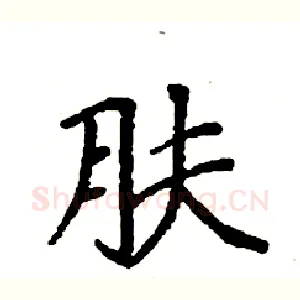 肤