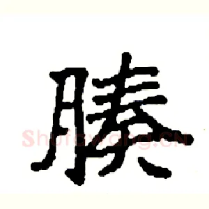 腠