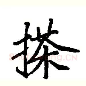 搽