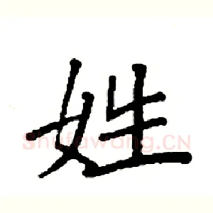 姓