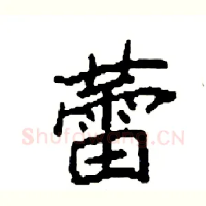 蕾