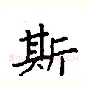 斯
