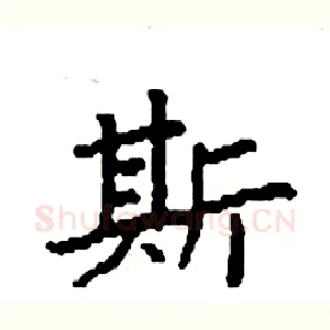 斯