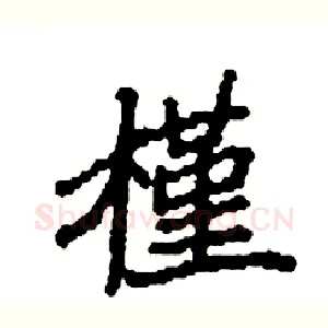 槿