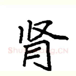 肾