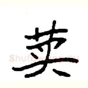 荬