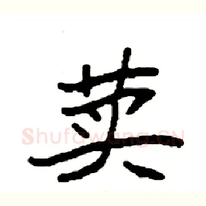 荬