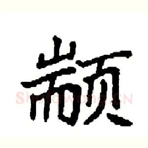 颛