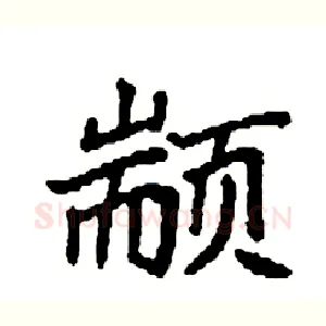 颛