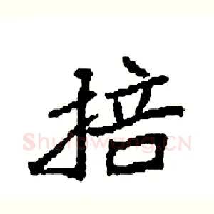 掊