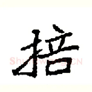 掊