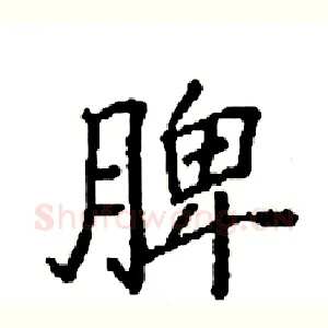 脾