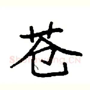 苍