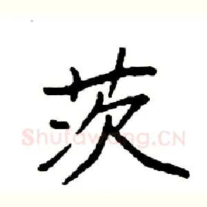 茨