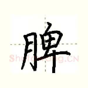脾