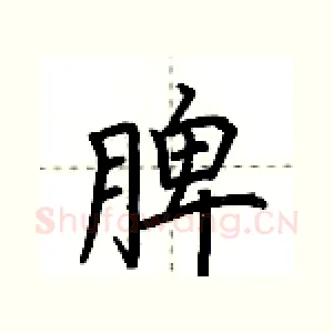 脾