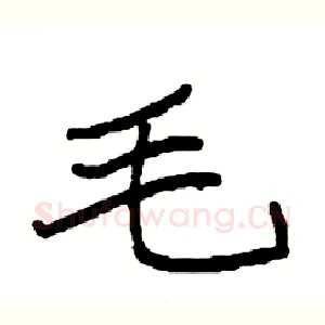 毛