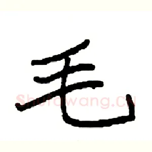 毛