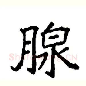 腺
